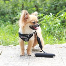 �羳 �����ر�������ʽ�·�С��Ȯ�����K���m͸�⹷���޹��K