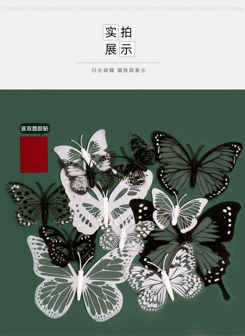 黑白蝴蝶详情_05.jpg