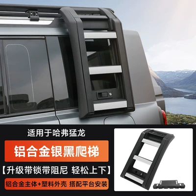 Modification with Spotlights, Folding Ladder, Roof rack - haval-raptor-ladder-climbing-silver-and-black-model