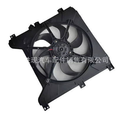 Kgm Ssangyong Actyon, Fan