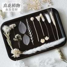 ��ɫ��������ֲ��ɻ�diy���Ͻ����ֹ���ָdiy�������b����նY��