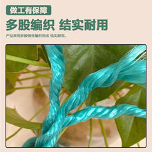 �����K���l���ϻ����Ĥ�K����ϩ؛܇���������K�Y����ĥ�GE18