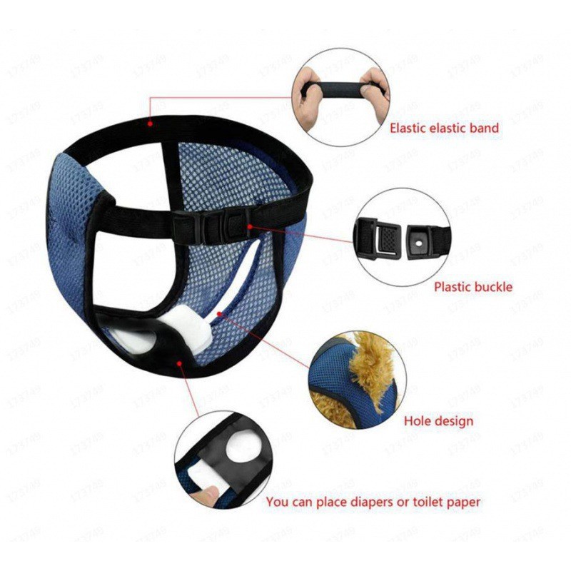 Dog Diaper Size Options