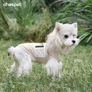 �ļ���������д��Ĺ��·�͸��o�䱳��ѩ�{�������ܹ�С��Ȯ