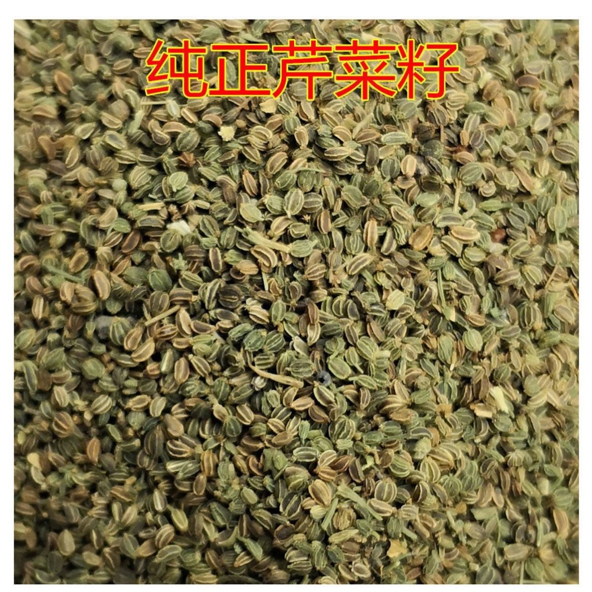 Celery Seed 500g Qin Cai Zi Dried Seeds for Tea and Infusions Unsulfured Bulk Chinese Herbal preparation