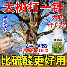 �h�ͪ���ݠ���������ľ�s�ݴ����ӭhຆL�~����������ľһᘿ���