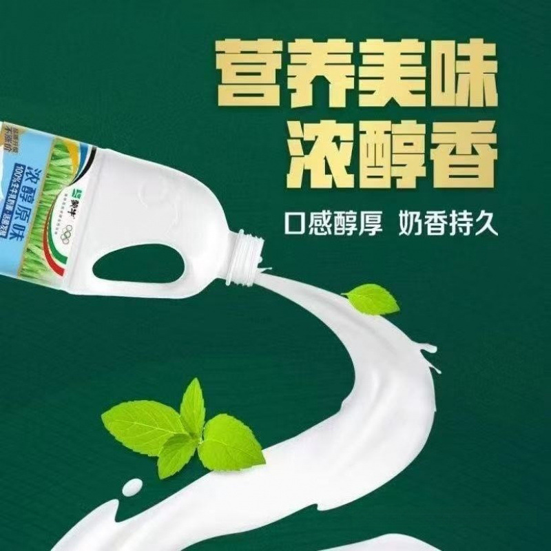 蒙牛大桶酸奶浓醇原味风味酸牛奶./大桶装酸奶水果捞奶茶店|undefined