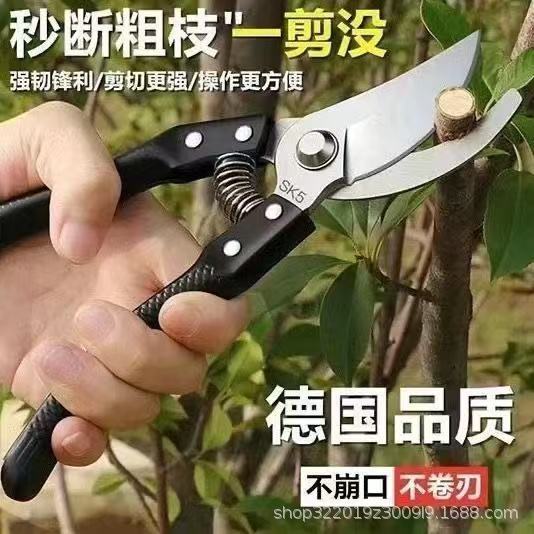 微信图片_202509181038361.jpg