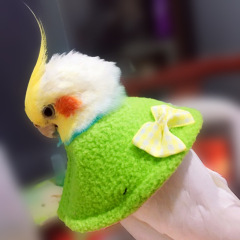 メーカー直販鳥用エリザベスリングオウム虎皮玄鳳マフラーマント噛み防止保護首輪