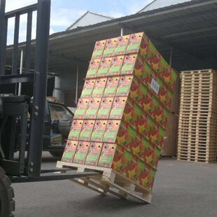 ���������бP���g���㼈�����b����Aб���|���бP���g������