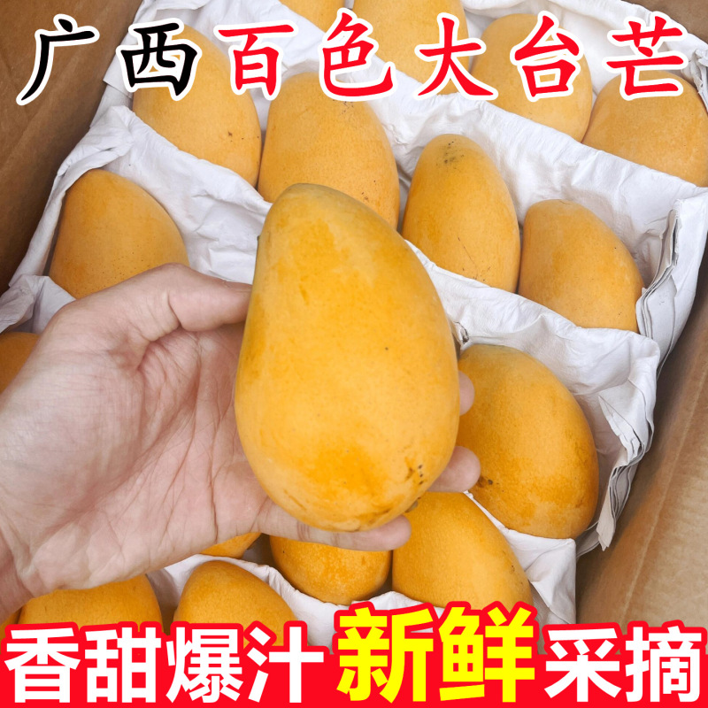 Authentic Guangxi Baise Small Mangoes, Fresh Large Fruits, 5kg Pieces, Seasonal Tropical Fruit for Pregnant Women, Whole Box