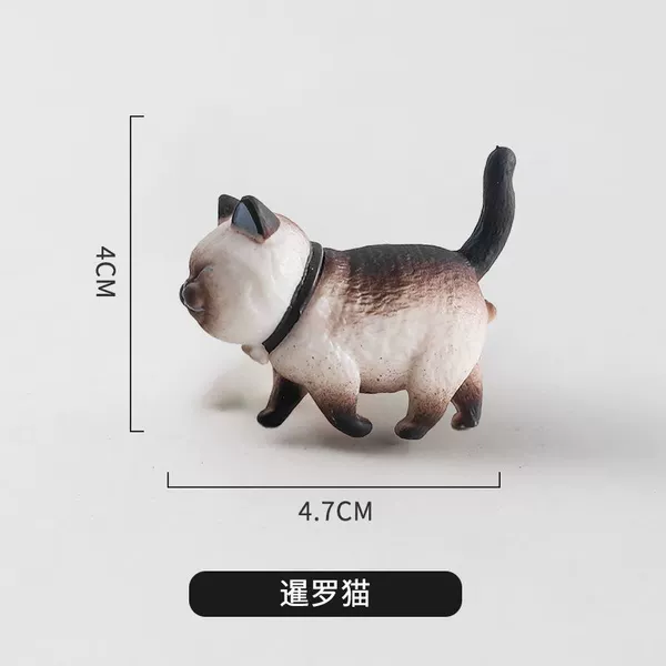 Siamese cat-single hole