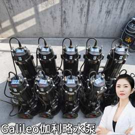 大功率潜污泵 大流量自吸排污泵 液下排污泵 精品