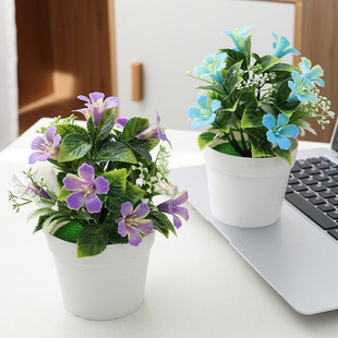 Hengrui Simulated Morning Glory Potted Plastic Home Decoration Fake Flowers Office Desktop Small Potted Plants Cross-Border Factory