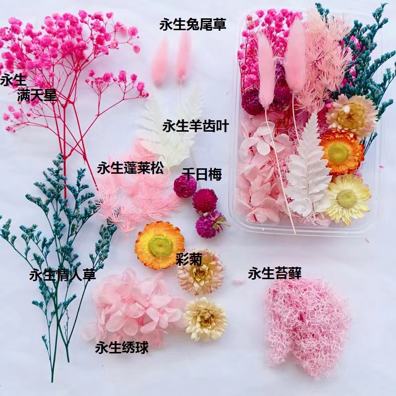 Festival bricolaje hecho a mano material de flor eterna planta flor seca florero flotante aromaterapia flor seca abanico de material paquete al por mayor