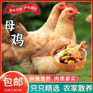 ��ɽɢ�B����ĸ�uƤ���������ι�B���|�o�����a��ĸ�u