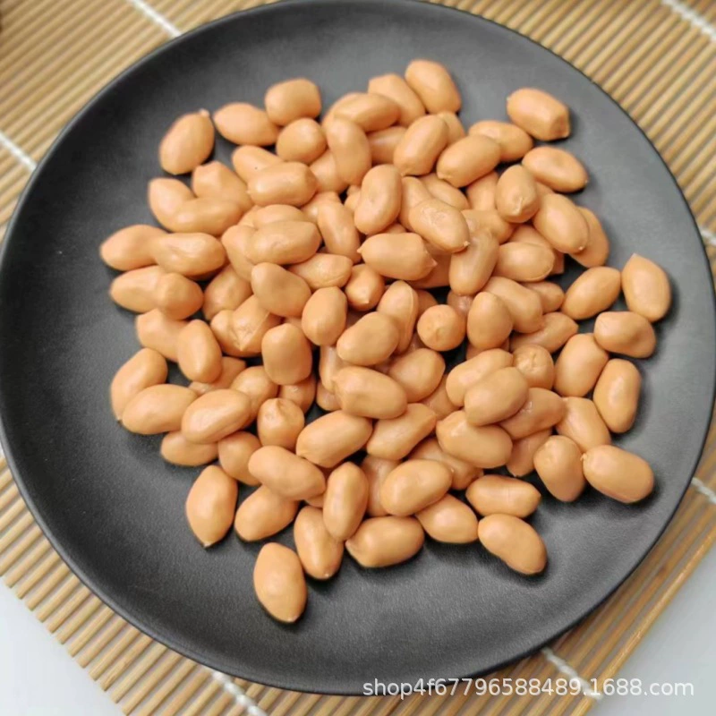 Симуляция зерна разное зерно кофе bean рис изюм лотосовое семя поясничный поясничный красная бобовая фасоль, машиное бобовая модель