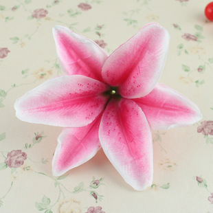 13cm�b��İٺϻ��� ���滨��c�ٺϻ��^ �x�����ֹ��������m