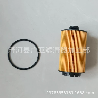 48V Light Hybrid Car – Oil filter