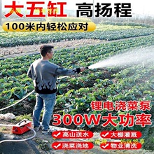 浇菜神器充电式锂电手提抽水泵农用灌溉浇水机家用淋菜机自吸水泵