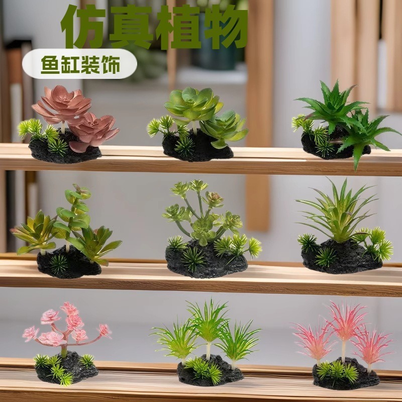 Simulación de paisajismo de peceras transfronterizas, planta suculta, tanque de escalada, decoración de conjunto, fábrica de decoración de piñas de aire