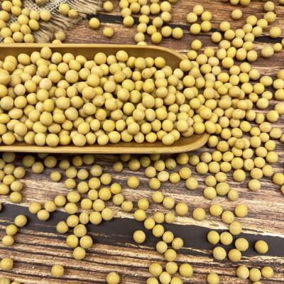 批发中粒黄豆芽豆 红丰16 东升一号生豆芽黄豆中粒豆100斤不包邮|ru