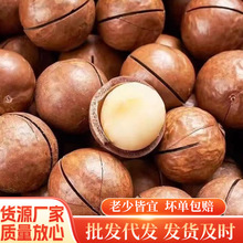 ��؛�����Ĺ�����ζ���w�������Թ��ɹ�M����ɹ���؛���e��ʳ