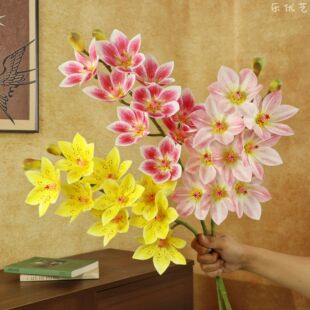 ����9�^���m��֦PU�zƬ���m���m �ҾӔ[�OӰҕ���b[����������