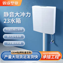 蹲便器水箱整套大冲力家用厕所蹲坑水箱卫生间壁挂式通用抽水套装