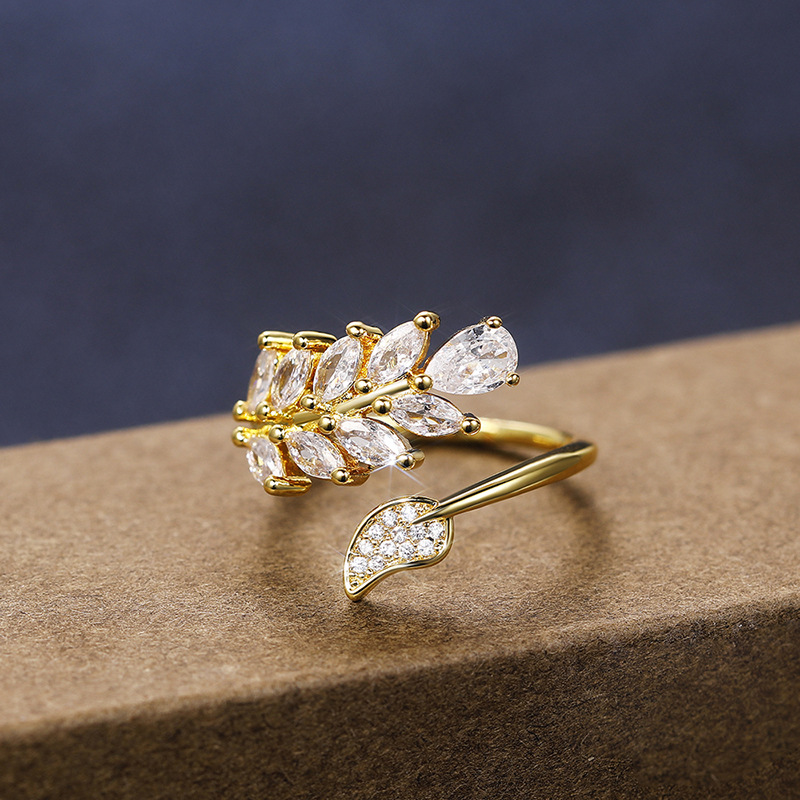 Särav tsirkooniga leherõngas naistele reguleeritav_voghion.com