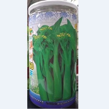 喜良蔬菜种子澳洲60天尖叶油青甜菜心基地田园阳台盆栽罐装