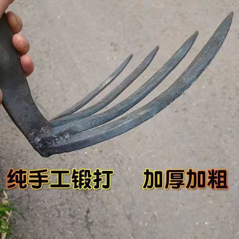 微信图片_20231002031725