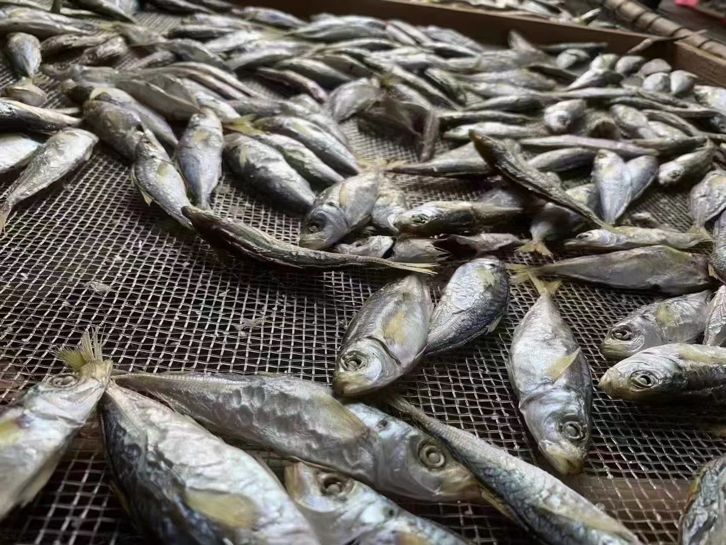 abb21f88c7b6ed9c3d5c506326a378