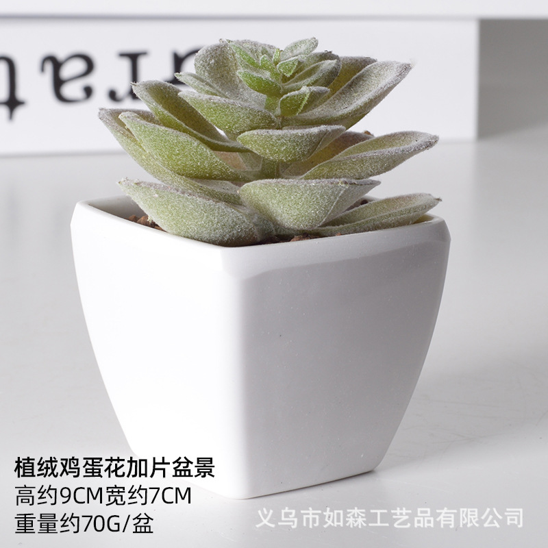 Simulación de plástico carnoso bonsai flor falsa combinación oficina interior escritorio plantas verdes pequeños adornos plantas artificiales al por mayor image 53