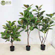 橡皮树北欧仿真玉兰树杜英树园林植物懒人盆栽虎皮兰龟背旅人蕉