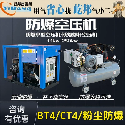 Yibang Underground Oil Field Dust Mining Coal Safety Bt4 Ct4 Small Screw Explosion-Proof Piston Air Compressor (Hava kompressorları)