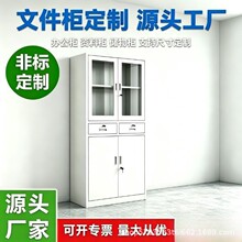 源头工厂钢制办公文件柜储物柜可定学校公司档案材料收纳文件柜