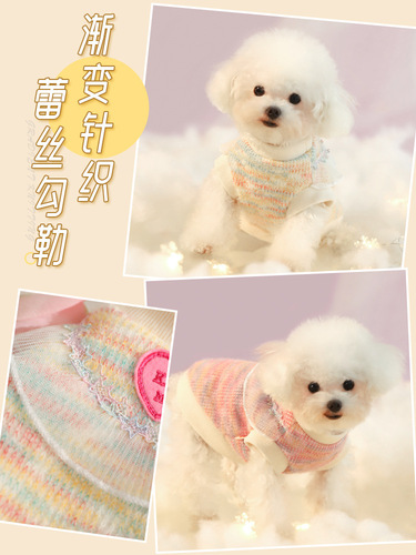 Dog Clothes Autumn and Winter Puppy Autumn Teddy Summer Pomeranian Autumn Warm Autumn Bichon Frize Winter Pet Winter Clothes