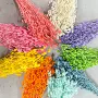 云南家居材料干花束永生花