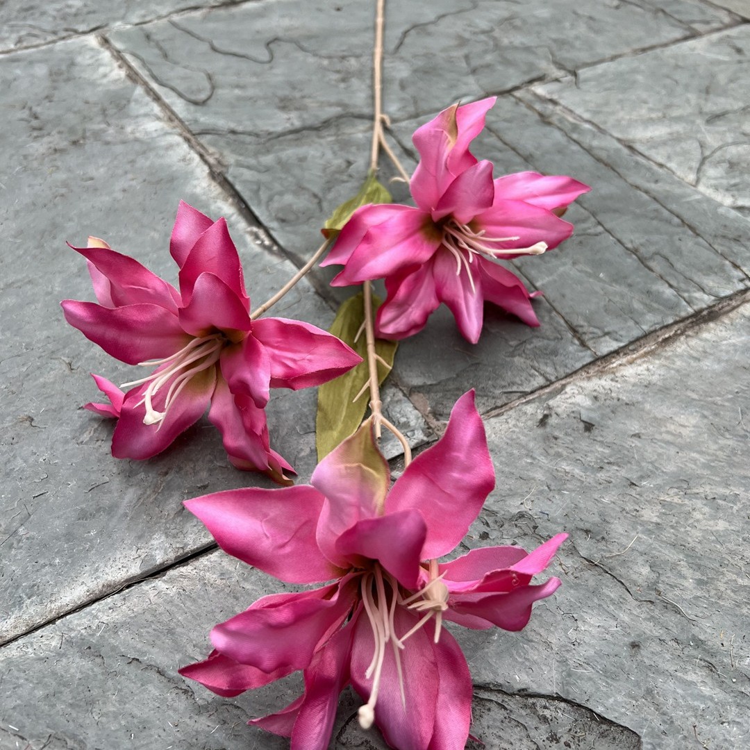 3-cabeza Xiyan Lily Rose Red