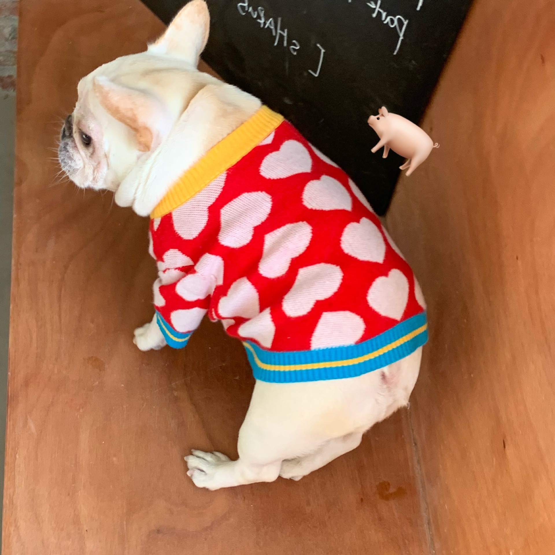 Pet Hoodie Image 6