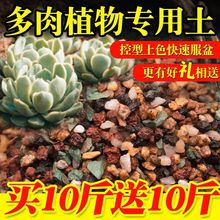 多肉颗粒土75%颗粒专用土营养土椰糠土泥炭土肉肉铺面石纯颗粒土