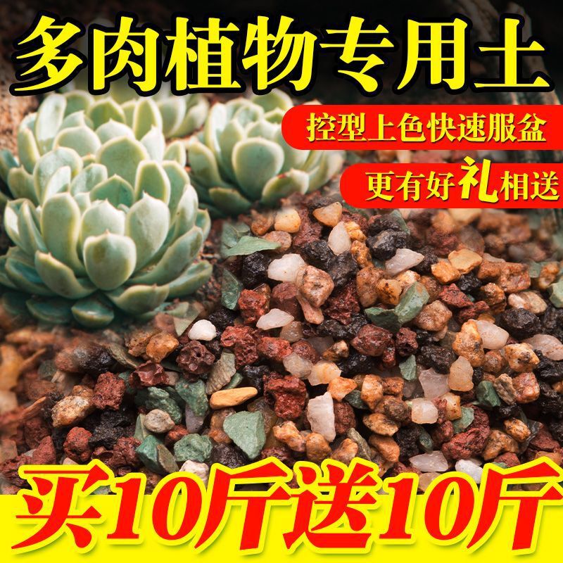 Meaty Granular Soil 75% Granular Special Soil Nutrient Soil Coconut Bran Soil Peat Soil Meat Paving Stone Pure Granular Soil