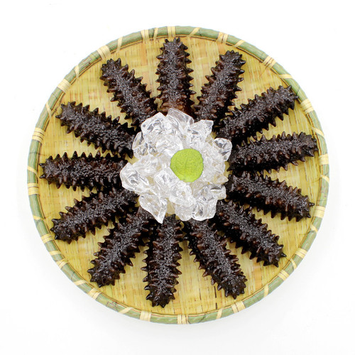 Simulated genuine small sea cucumber fake seafood full model food toys shooting props Liao ginseng PVC sea cucumber ornaments