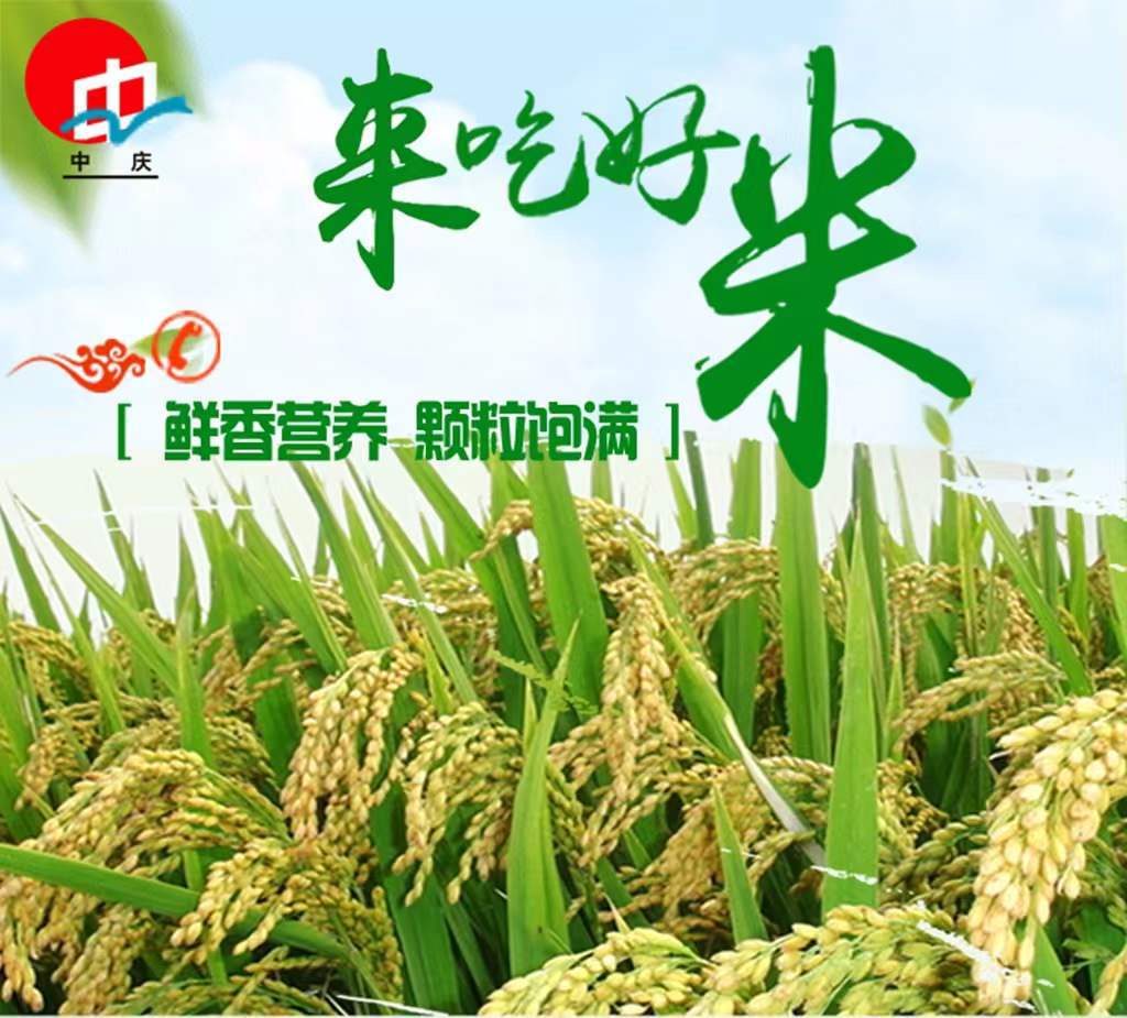 微信图片_20221217153225