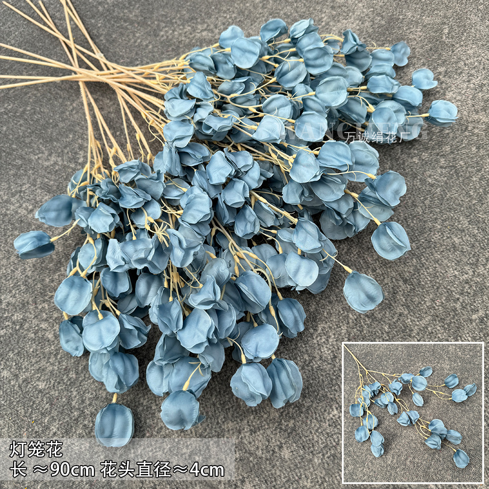 Lantern flower-haze Blue