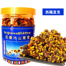 ���خa��ɽѩ������ƿ�b��ˮ��֥�a����ѩ�ո�ɽѩ�վջ����]