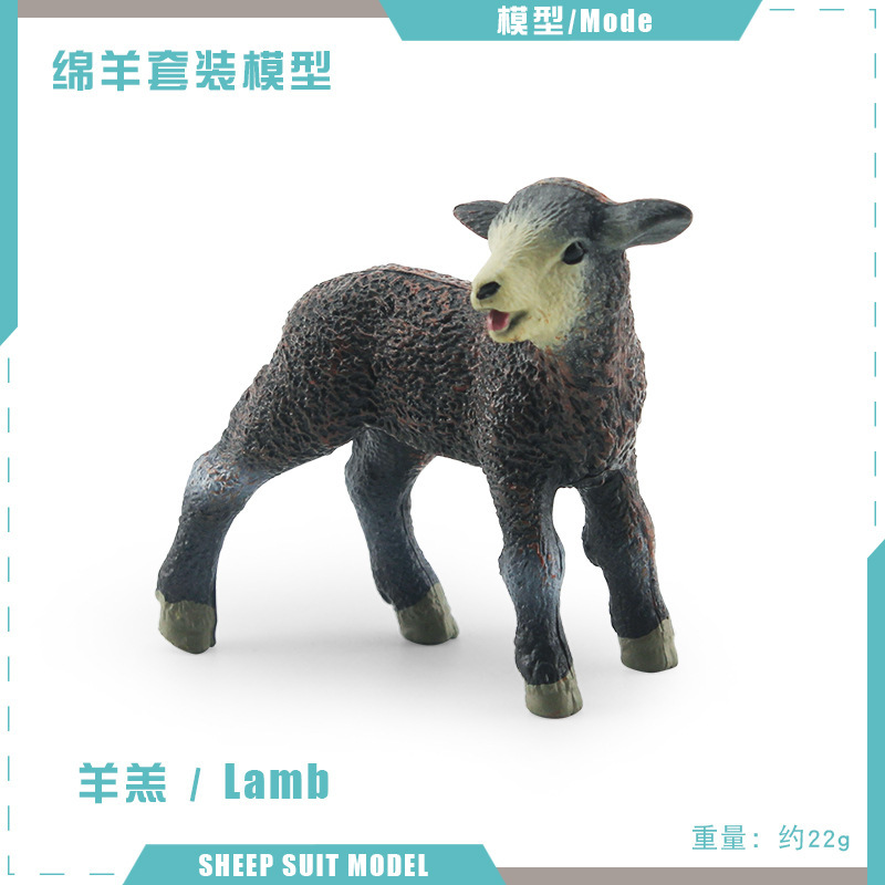 9899-S309 Cordero 22g