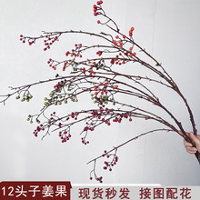 ���汱�������ɽ�w�������ٗl�{���p�@֦�l��ʽ�����b�Y��ˇ