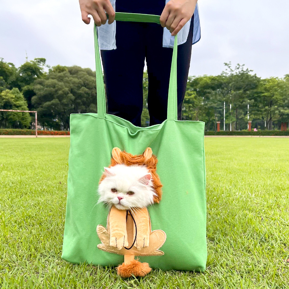 Pet Outing Bolso de hombro Cartoon Lion Cat Bolso para perros Bolso para perros Excursión Teddy Bigxiong Into Corgi